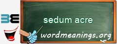 WordMeaning blackboard for sedum acre